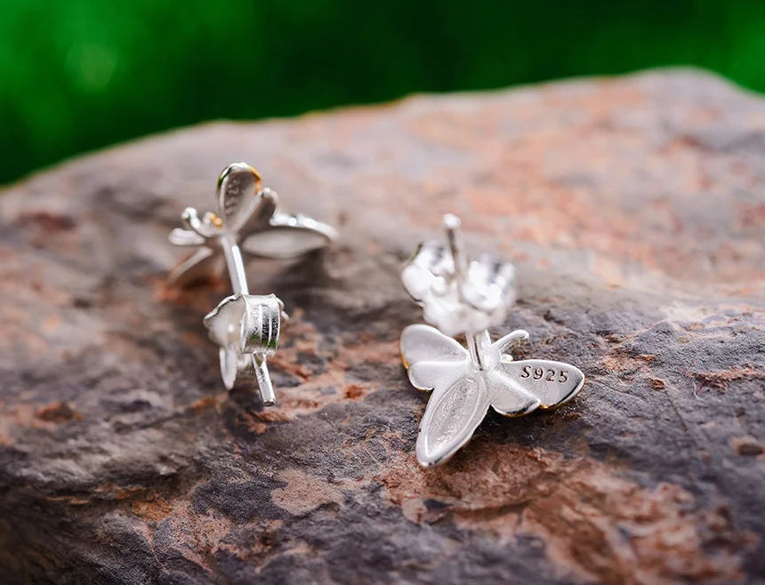 Set | Abeja Melífera