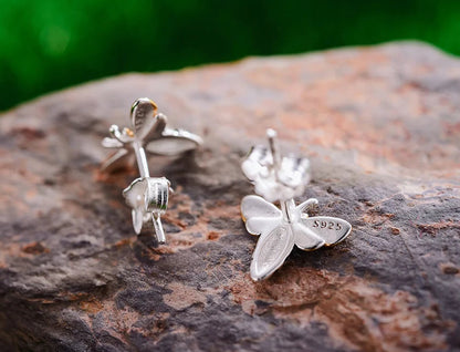 Set | Abeja Melífera